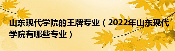 山东现代学院的王牌专业（2022年山东现代学院有哪些专业）