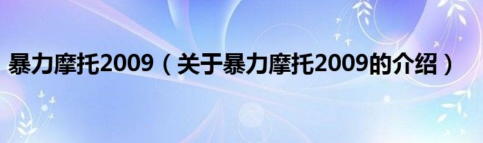 暴力摩托2009（关于暴力摩托2009的介绍）