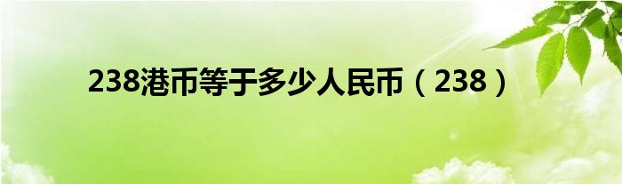 238港币等于多少人民币(238)