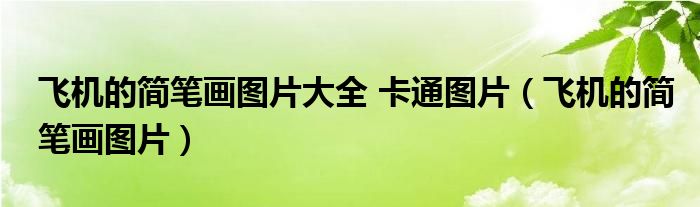 飞机的简笔画图片大全 卡通图片（飞机的简笔画图片）