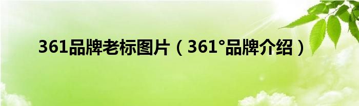 361品牌老标图片（361°品牌介绍）