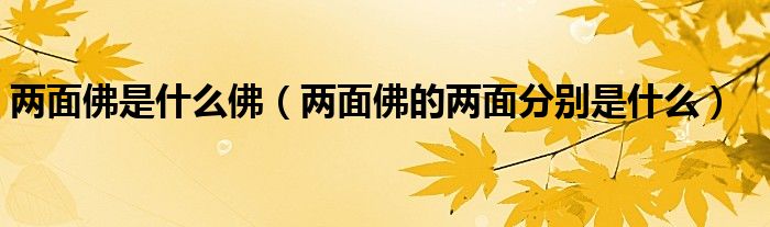 两面佛是什么佛（两面佛的两面分别是什么）