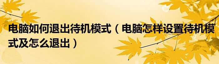 电脑如何退出待机模式（电脑怎样设置待机模式及怎么退出）