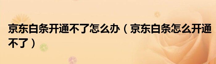 京东白条开通不了怎么办（京东白条怎么开通不了）