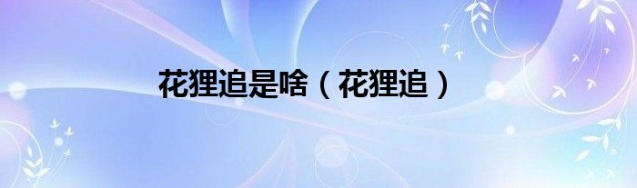 花狸追是啥（花狸追）