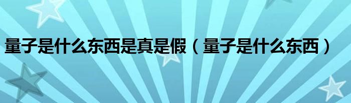 量子是什么东西是真是假（量子是什么东西）