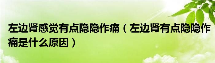 左边肾感觉有点隐隐作痛（左边肾有点隐隐作痛是什么原因）