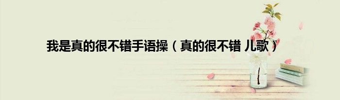我是真的很不错手语操（真的很不错 儿歌）