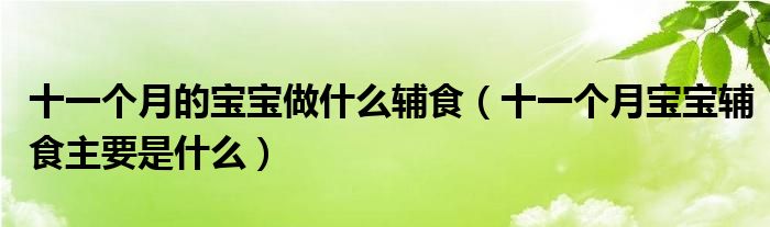 十一个月的宝宝做什么辅食（十一个月宝宝辅食主要是什么）