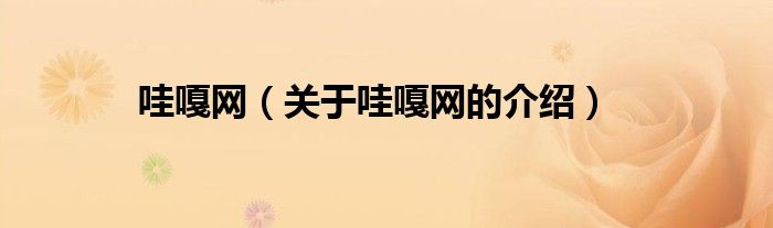 哇嘎网（关于哇嘎网的介绍）