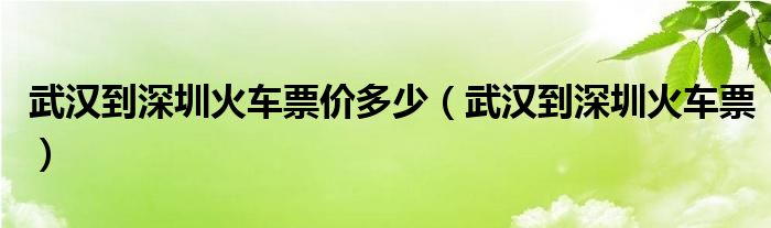 武汉到深圳火车票价多少（武汉到深圳火车票）