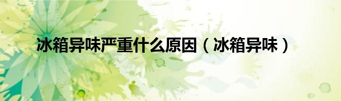 冰箱异味严重什么原因（冰箱异味）