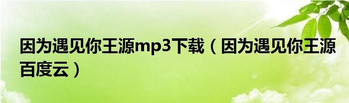 因为遇见你王源mp3下载（因为遇见你王源百度云）