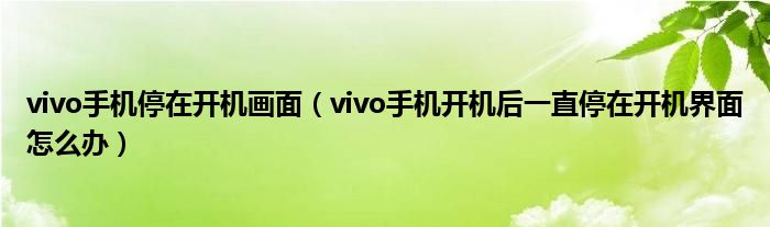 vivo手机停在开机画面（vivo手机开机后一直停在开机界面怎么办）