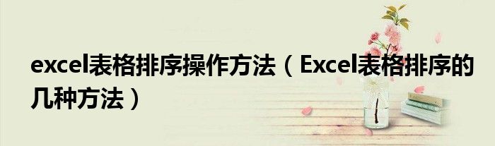 excel表格排序操作方法（Excel表格排序的几种方法）