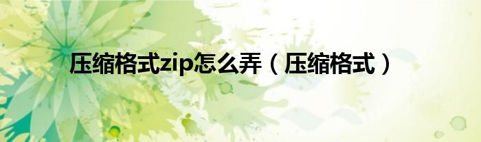 压缩格式zip怎么弄(压缩格式)