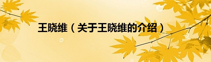 王晓维（关于王晓维的介绍）