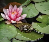 HTC一款M8 Prime可能升级了相机镜头